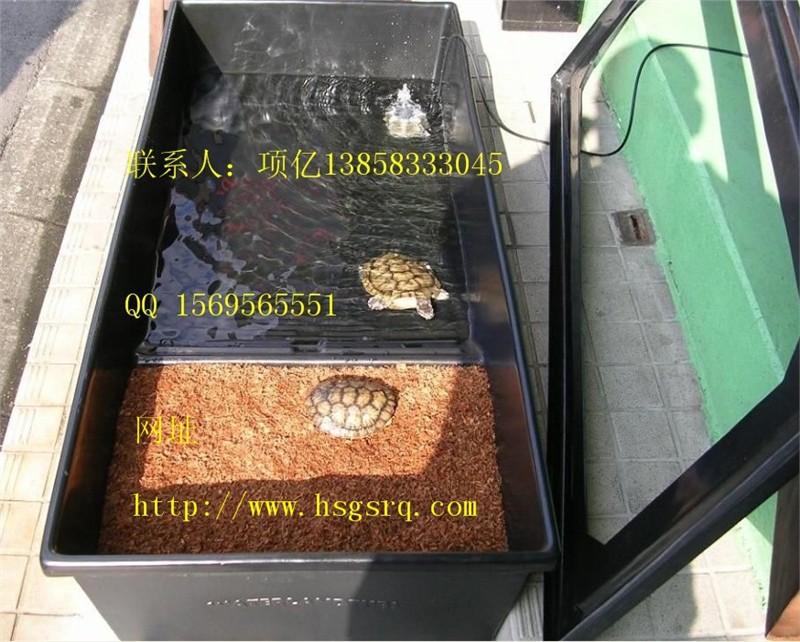供应甲鱼养殖桶，水产养殖箱，水产箱，水产桶，乌龟养殖桶，PE水桶